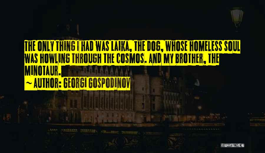 The Only Brother Quotes By Georgi Gospodinov