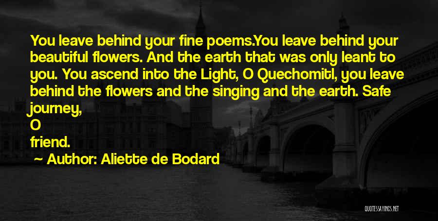 The Only Friend Quotes By Aliette De Bodard