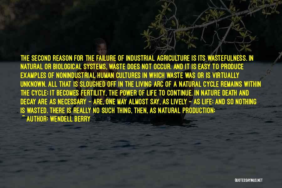 The Only Reason Quotes By Wendell Berry