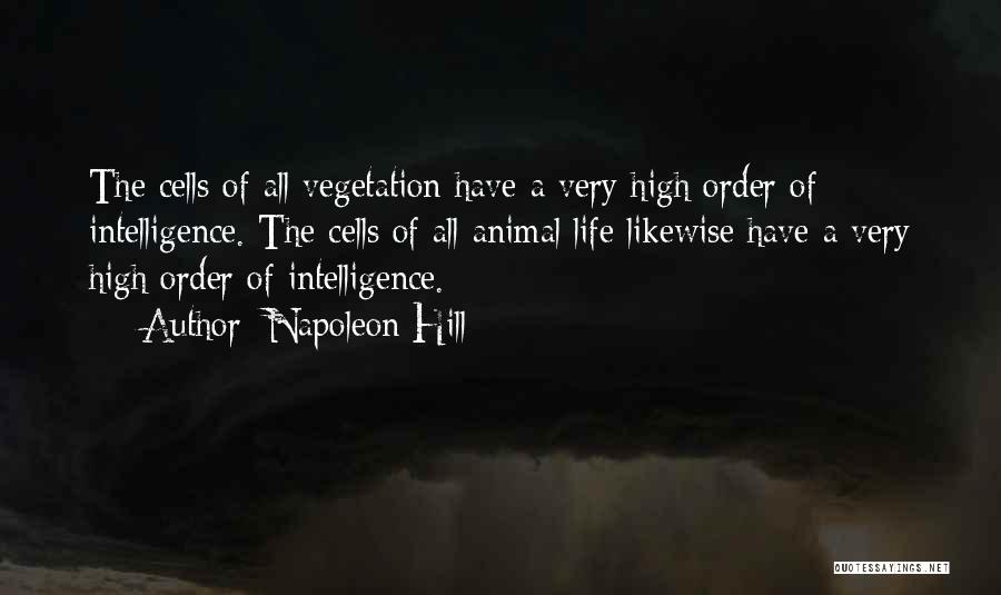 The Order Of Life Quotes By Napoleon Hill