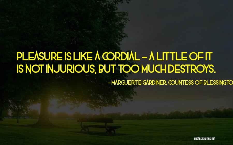 The Other Countess Quotes By Marguerite Gardiner, Countess Of Blessington The Other Countess Quotes By Marguerite Gardiner, Countess Of Blessington
