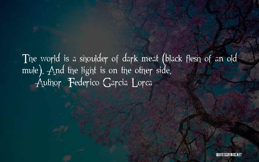 The Other Side Of Dark Quotes By Federico Garcia Lorca