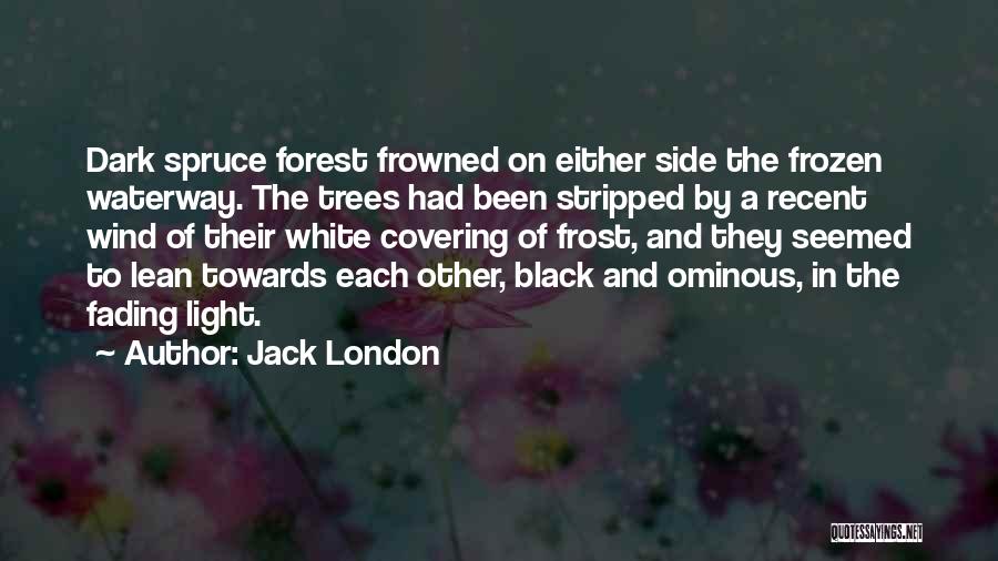 The Other Side Of Dark Quotes By Jack London