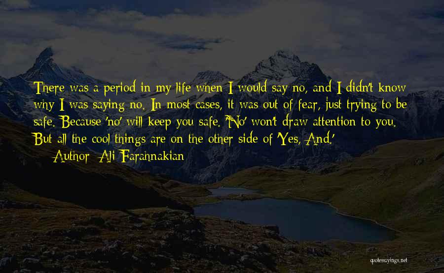 The Other Side Of Life Quotes By Ali Farahnakian