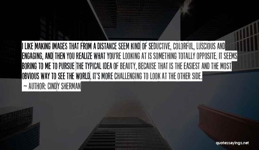 The Other Side Of Me Quotes By Cindy Sherman