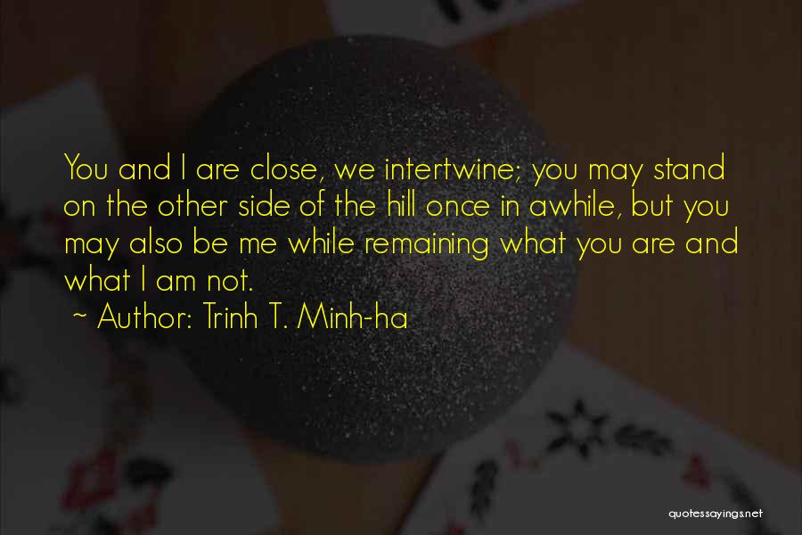 The Other Side Of Me Quotes By Trinh T. Minh-ha