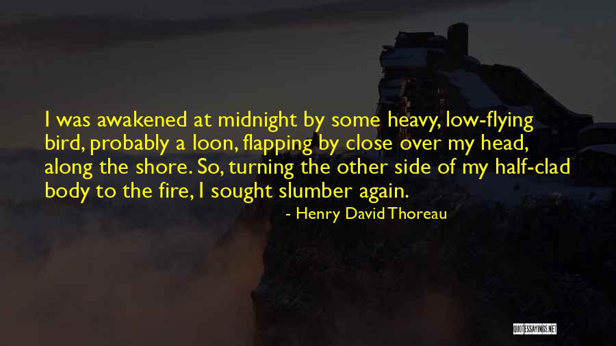 The Other Side Of Midnight Quotes By Henry David Thoreau