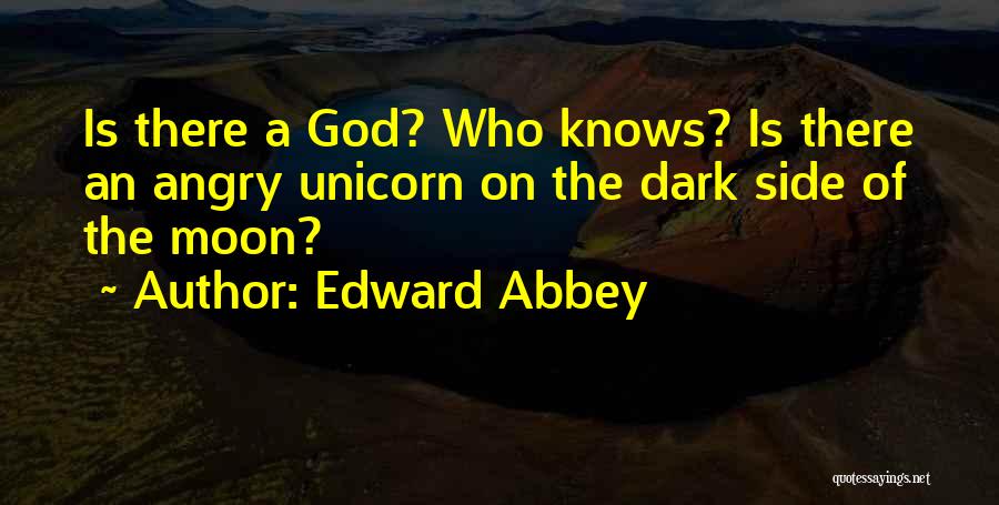 The Other Side Of The Moon Quotes By Edward Abbey