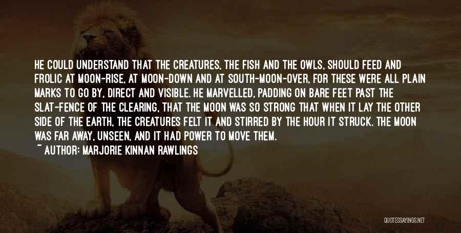 The Other Side Of The Moon Quotes By Marjorie Kinnan Rawlings