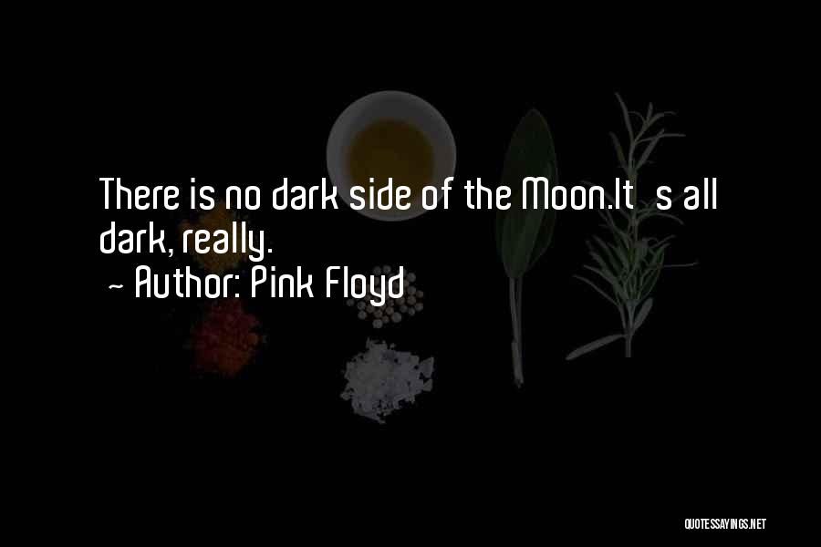 The Other Side Of The Moon Quotes By Pink Floyd