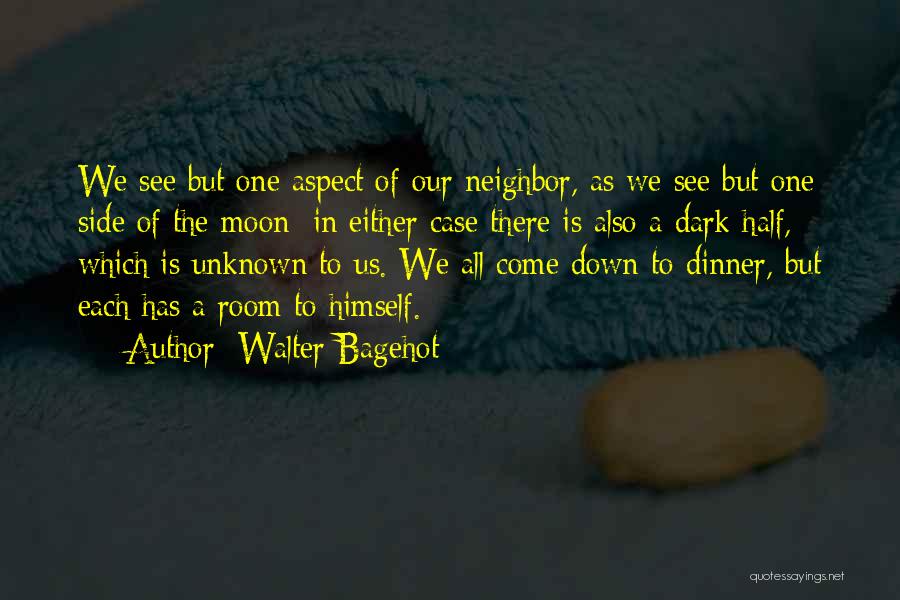 The Other Side Of The Moon Quotes By Walter Bagehot