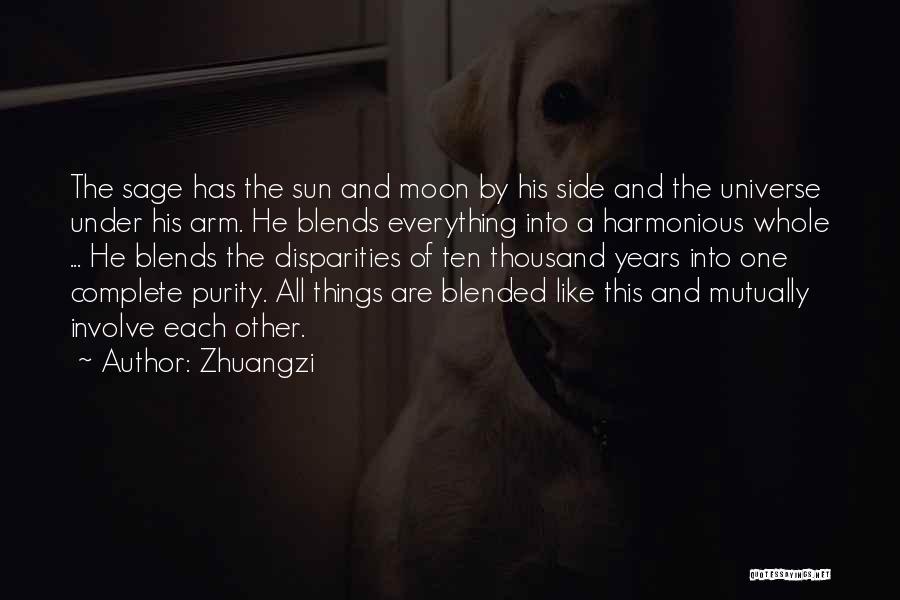 The Other Side Of The Moon Quotes By Zhuangzi