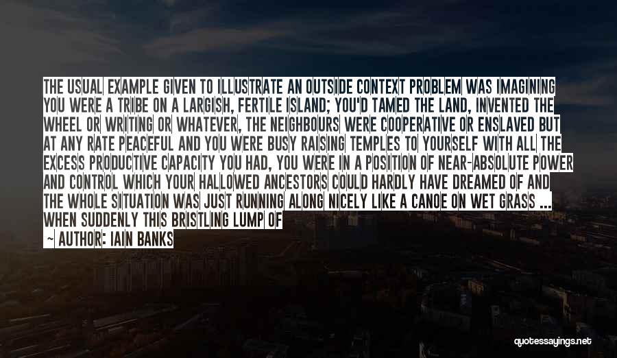 The Outside Looking In Quotes By Iain Banks