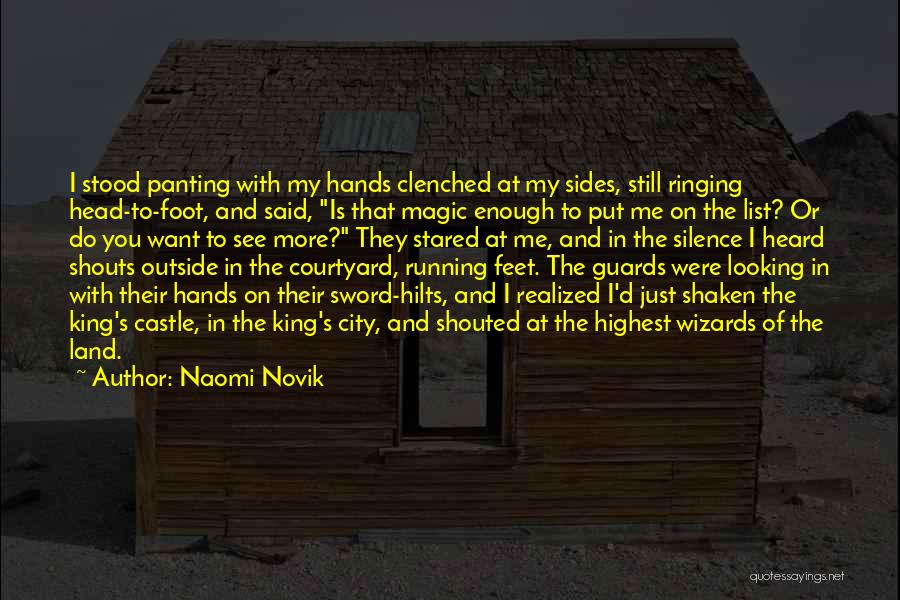 The Outside Looking In Quotes By Naomi Novik