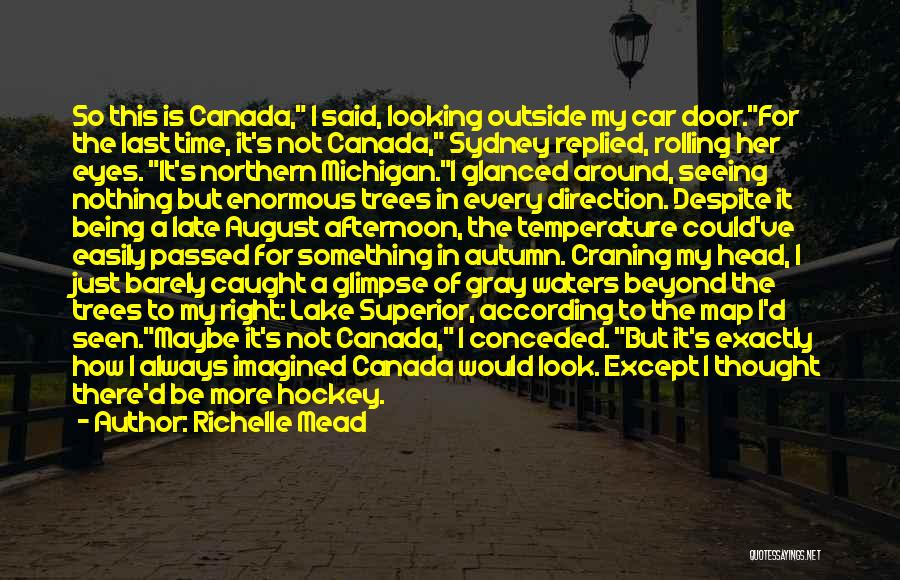 The Outside Looking In Quotes By Richelle Mead