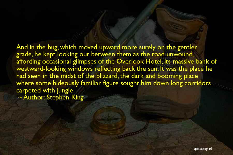 The Overlook Hotel Quotes By Stephen King