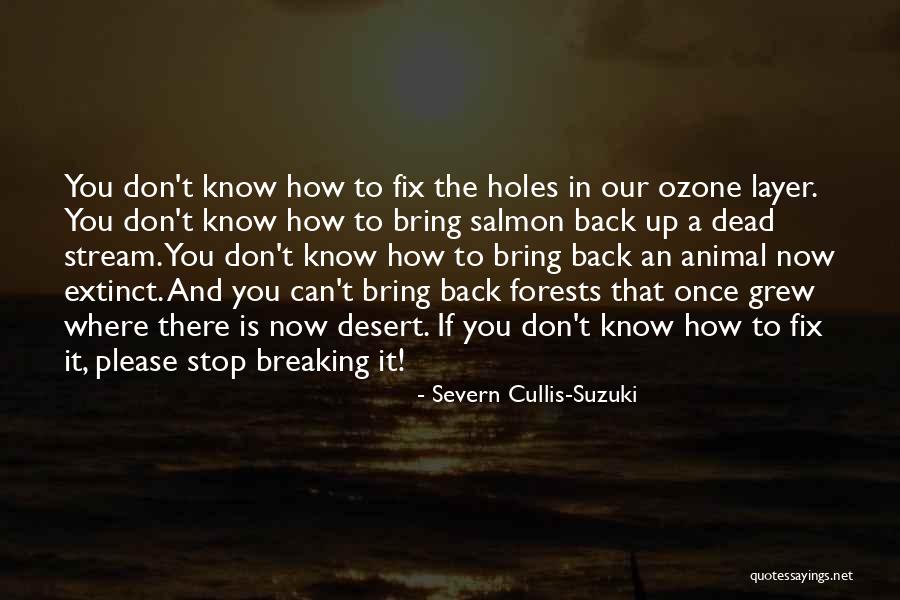 The Ozone Layer Quotes By Severn Cullis-Suzuki The Ozone Layer Quotes By Severn Cullis-Suzuki