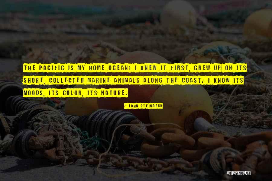 The Pacific Coast Quotes By John Steinbeck The Pacific Coast Quotes By John Steinbeck