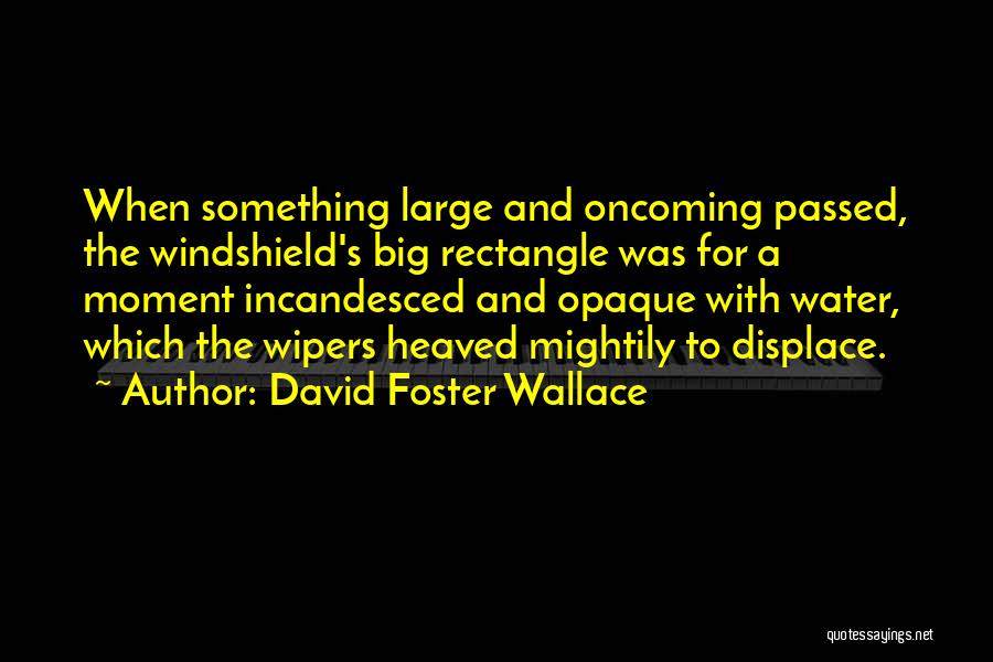 The Pale King Quotes By David Foster Wallace