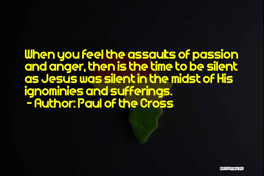 The Passion Of Jesus Quotes By Paul Of The Cross