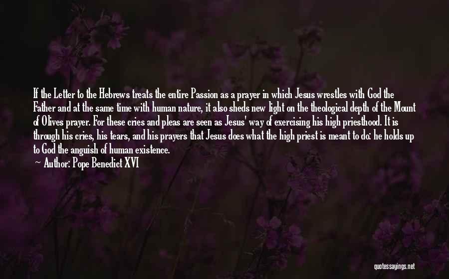 The Passion Of Jesus Quotes By Pope Benedict XVI