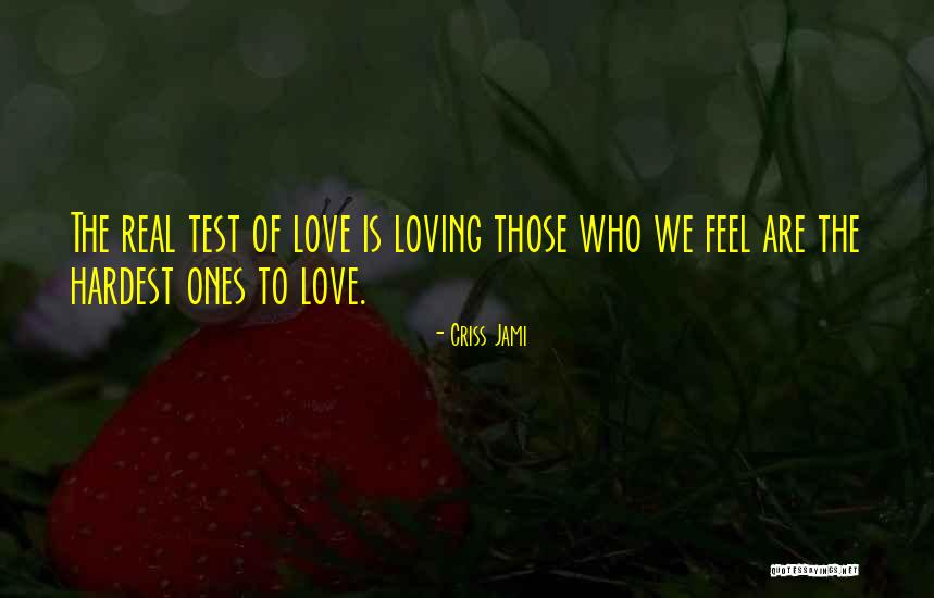 The Passion Test Quotes By Criss Jami