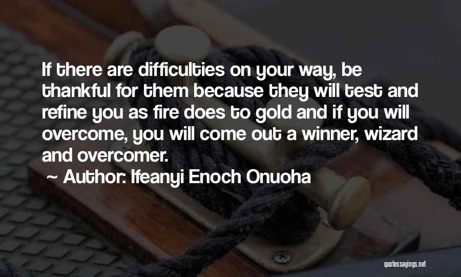 The Passion Test Quotes By Ifeanyi Enoch Onuoha