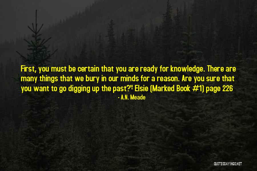 The Past 1 Quotes By A.N. Meade The Past 1 Quotes By A.N. Meade