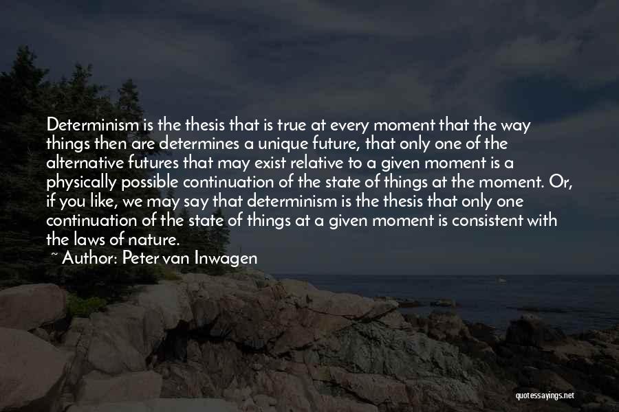 The Past Determines The Future Quotes By Peter Van Inwagen