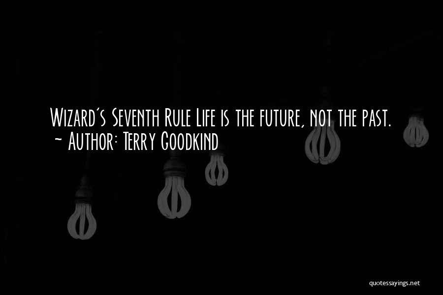 The Past Future Quotes By Terry Goodkind