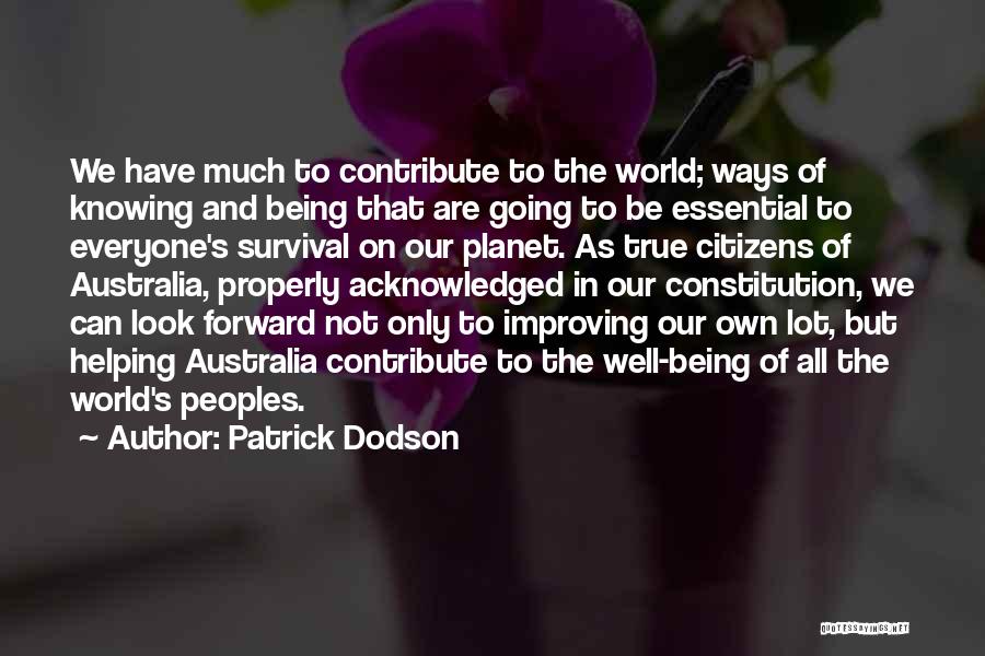 The Past Helping The Future Quotes By Patrick Dodson
