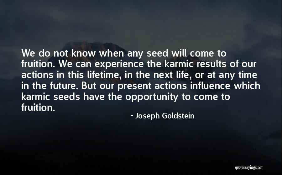 The Past Influence The Present Quotes By Joseph Goldstein