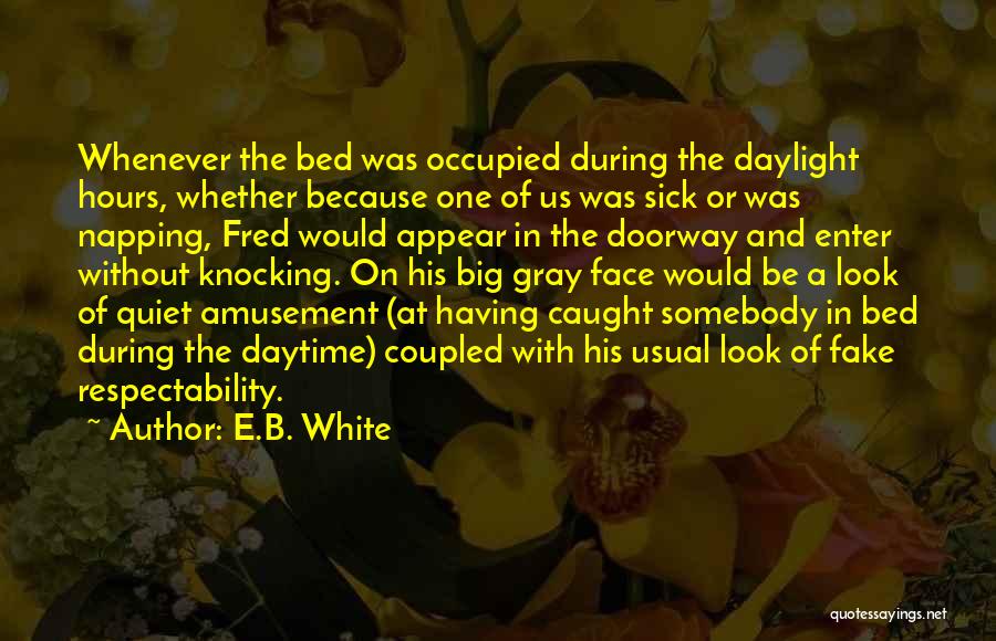 The Past Knocking Quotes By E.B. White