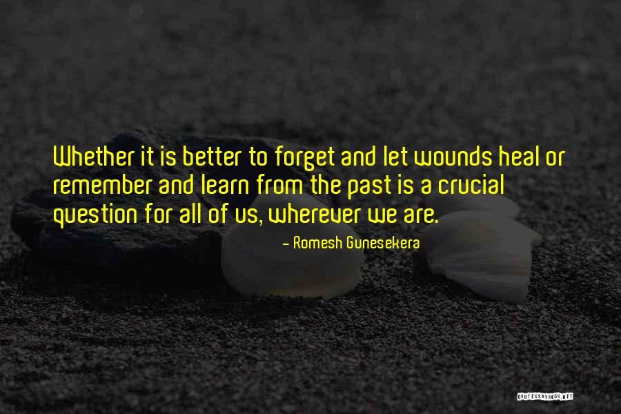 The Past Learn From It Quotes By Romesh Gunesekera The Past Learn From It Quotes By Romesh Gunesekera