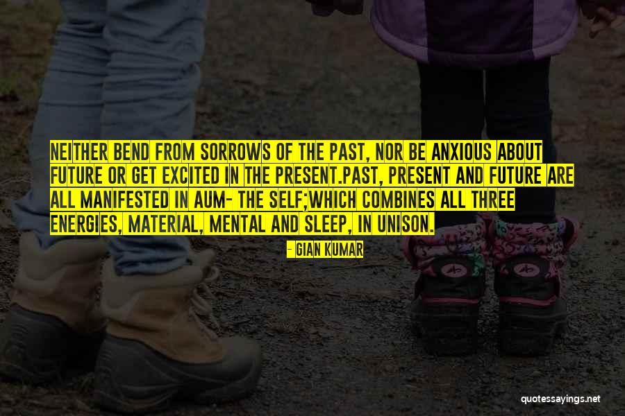 The Past Present And The Future Quotes By Gian Kumar The Past Present And The Future Quotes By Gian Kumar
