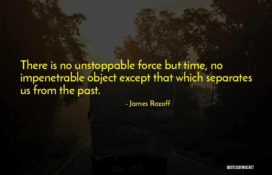 The Past Quotes By James Rozoff