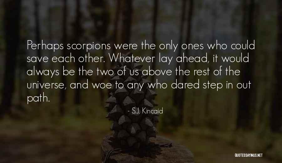 The Path Ahead Quotes By S.J. Kincaid The Path Ahead Quotes By S.J. Kincaid