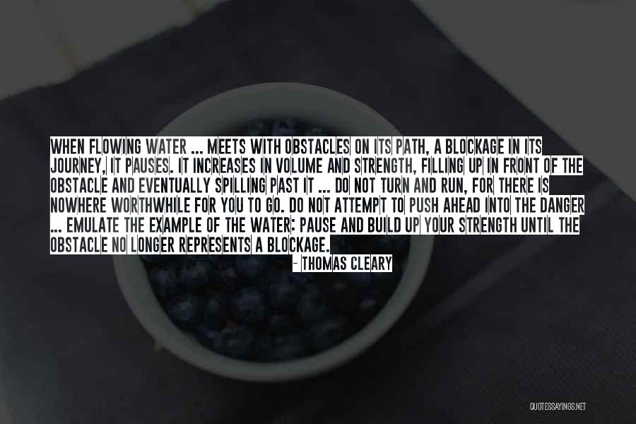 The Path Ahead Quotes By Thomas Cleary The Path Ahead Quotes By Thomas Cleary