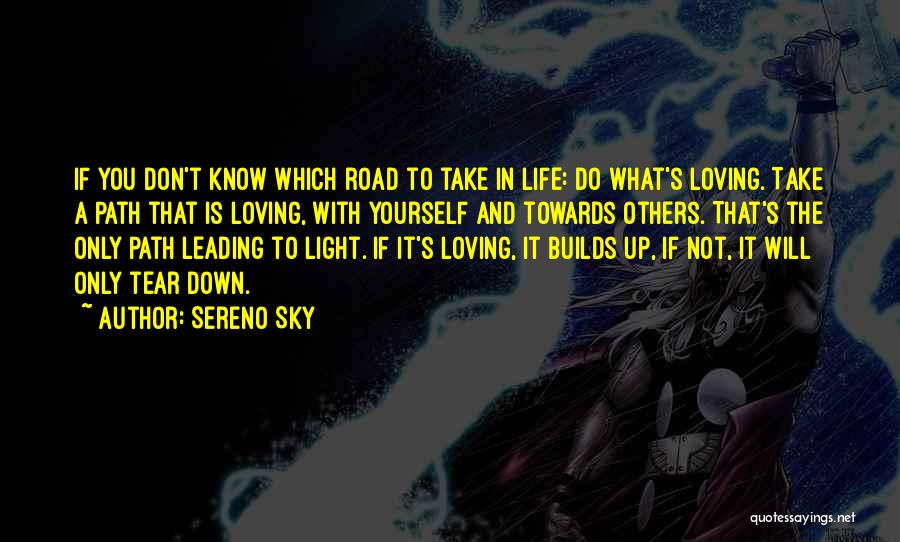 The Path You Take In Life Quotes By Sereno Sky