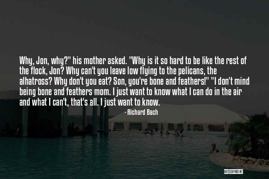 The Patriot Gabriel Quotes By Richard Bach The Patriot Gabriel Quotes By Richard Bach