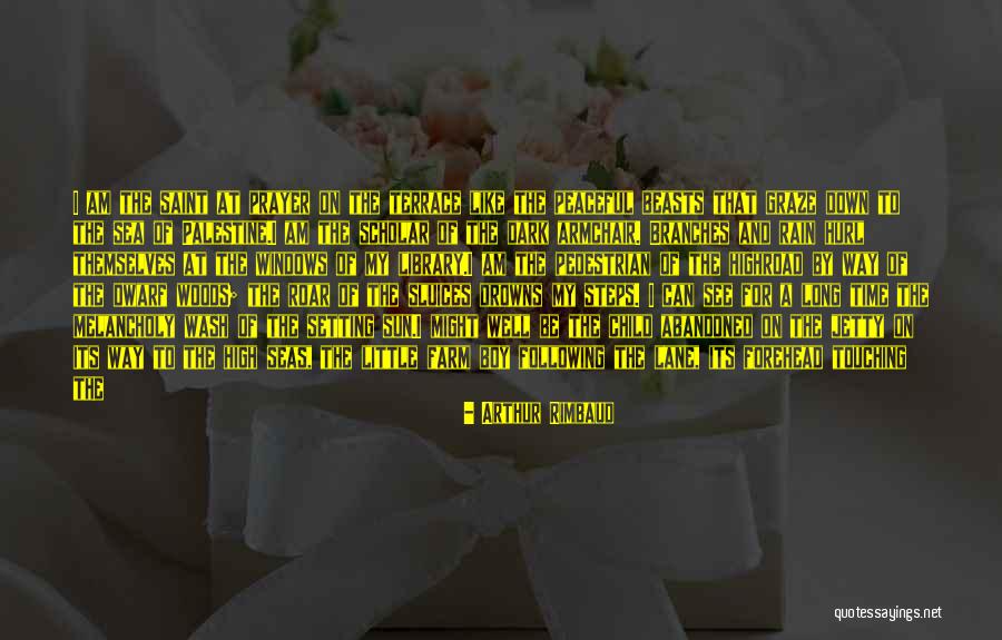 The Pedestrian Quotes By Arthur Rimbaud The Pedestrian Quotes By Arthur Rimbaud