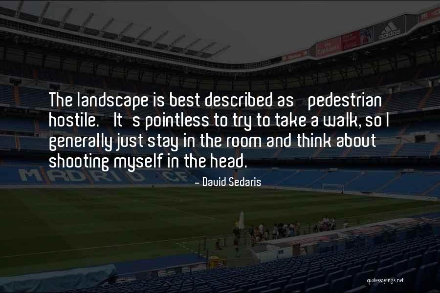 The Pedestrian Quotes By David Sedaris The Pedestrian Quotes By David Sedaris