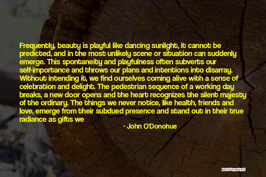 The Pedestrian Quotes By John O'Donohue The Pedestrian Quotes By John O'Donohue