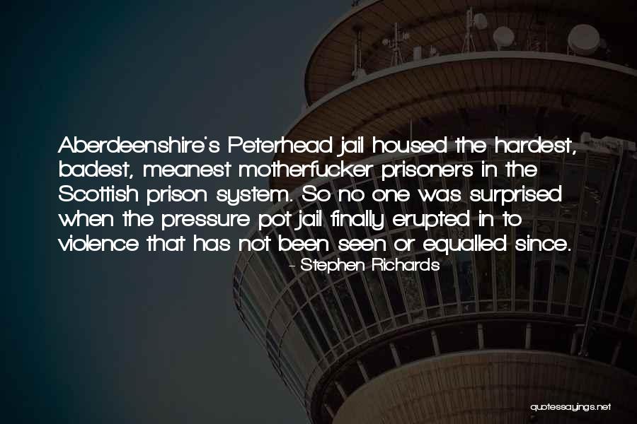 The Penal System Quotes By Stephen Richards