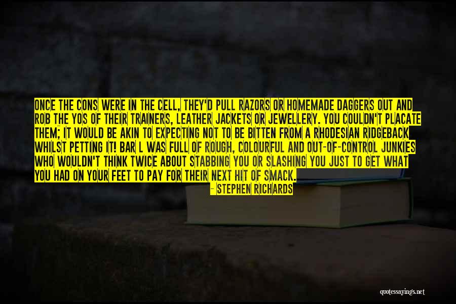 The Penal System Quotes By Stephen Richards