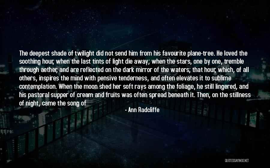 The Pensive Quotes By Ann Radcliffe The Pensive Quotes By Ann Radcliffe