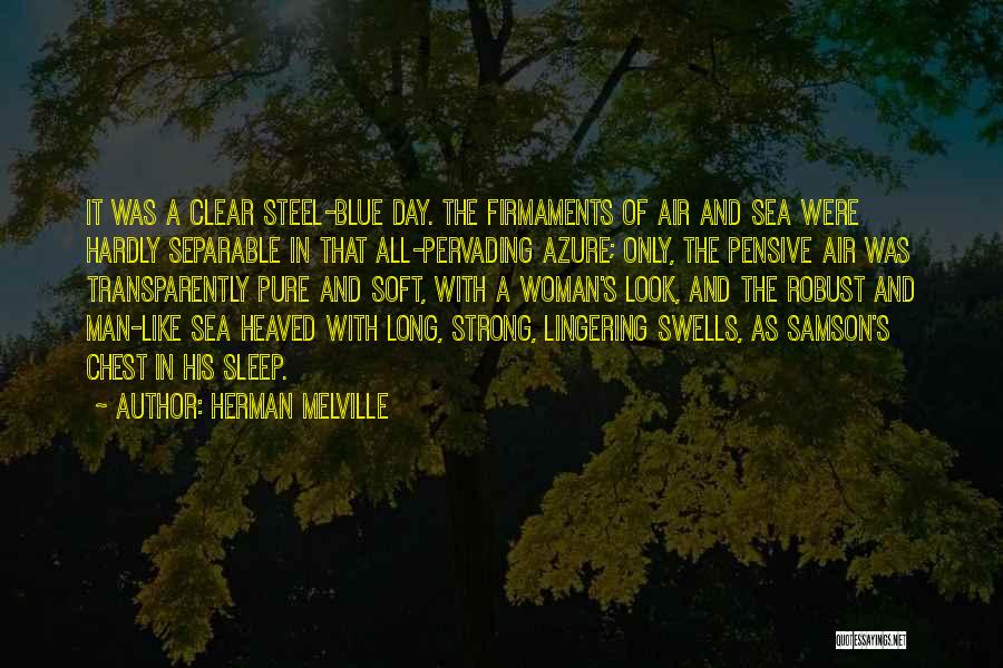 The Pensive Quotes By Herman Melville