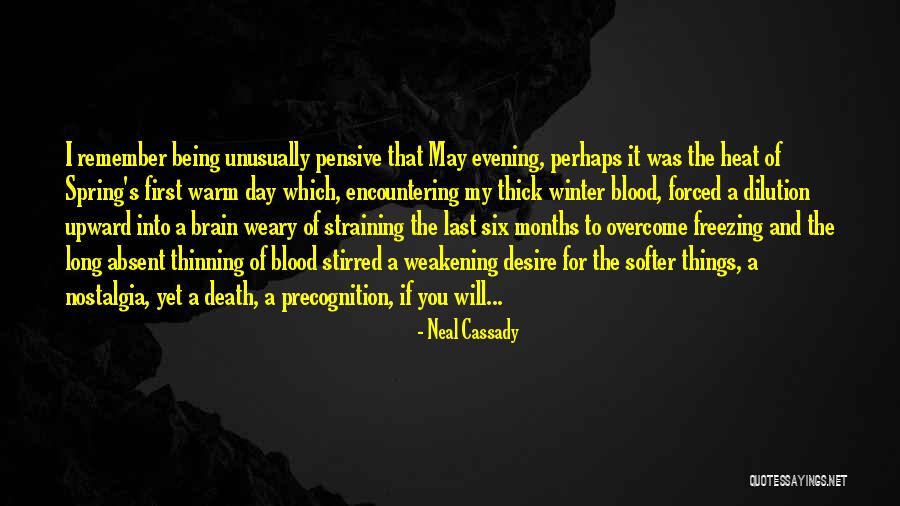 The Pensive Quotes By Neal Cassady