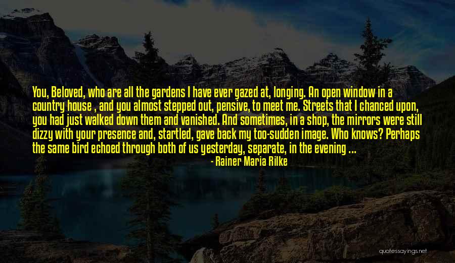 The Pensive Quotes By Rainer Maria Rilke