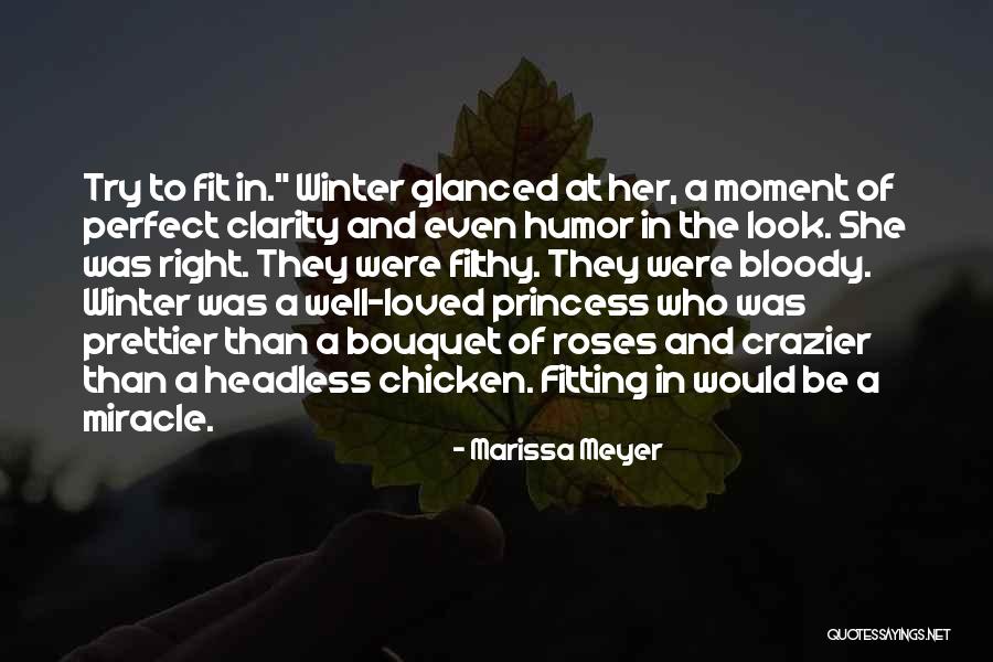The Perfect Fit Quotes By Marissa Meyer The Perfect Fit Quotes By Marissa Meyer